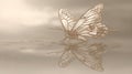 Elegant butterfly reflection on water Royalty Free Stock Photo