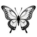 Butterfly tribal tattoo. isolated insect illustration on white and transparent background