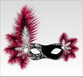 Elegant carnival mask with beautiful feathers.
