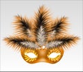 Elegant carnival mask with beautiful feathers.