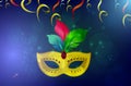 Elegant carnival mask