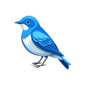 Elegant Cerulean Warbler Bird Vector Royalty Free Stock Photo