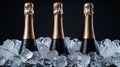 Elegant Champagne Bottles Chilled on Ice Against a Dark Background Royalty Free Stock Photo