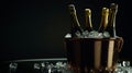 Elegant Champagne Bottles in Ice, Dark Ambiance Royalty Free Stock Photo