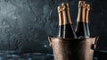 Elegant Champagne Bottles in Ice, Dark Background