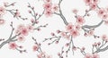 Elegant Cherry Blossoms Graceful Branches Seamless Pattern Soft Pink Grey Royalty Free Stock Photo