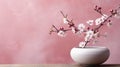 Elegant cherry blossoms in a white vase against a soft pink backdrop.