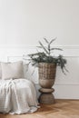 Elegant Christmas interior. White moulding panelling wall background, empty copy space. Bed, sofa with linen cushions