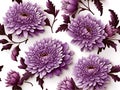 Elegant Chrysanthemum Floral Pattern