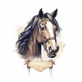 Elegant Clydesdale Horse Head Watercolor Illustration Royalty Free Stock Photo