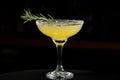Elegant cocktail garnished with rosemary on a dark background