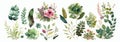 Elegant Collection of Watercolor Greenery and Flowers, Hand-Painted Floral Elements for Invitations, Decorations, and