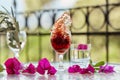 Elegant and colorful glass of red wine, wine splash in the glass. Summer bright cocktails on the background. Decorative Royalty Free Stock Photo