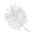 Elegant continuous line drawing. Minimal art palm leaf isolated on white backgroud Royalty Free Stock Photo