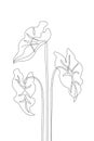 Elegant continuous line drawing. Tropical leaves contour drawing Royalty Free Stock Photo