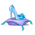 Elegant crystal princess shoe on cushion