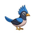 Elegant Curl-crested Jay Bird Vector Royalty Free Stock Photo