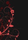 Elegant dark background with red swirls and space for your text Royalty Free Stock Photo