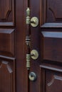 Details of classic architecture building entrance. Doorknob closeup Royalty Free Stock Photo