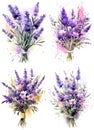 a set of four lavender on a white background, an isolated background, fabric, huge gift bouquets.,