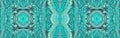 Elegant Decorative Turquoise Pattern Banner