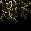 Elegant and delicate black background