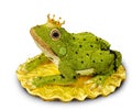 Elegant designed diamond in frog on white background, the frog p