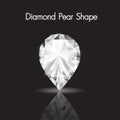 Elegant diamond pearl shape vector