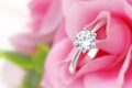 Elegant diamond ring inside rose