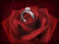 Elegant diamond ring on a Rose Flower on background of beautiful red rose petals Royalty Free Stock Photo