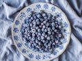 Elegant dish with frozen blueberries