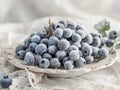 Elegant dish with frozen blueberries