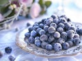 Elegant dish with frozen blueberries