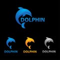 Elegant Dolphin Jumping Logo Concept