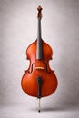 Elegant Double Bass Isolated In Studio Representing Classical And Jazz Music Depth Royalty Free Stock Photo