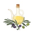 Elegant drawing of extra virgin oil in glass jug, olive tree branches with leaves, black and green fruits or drupes