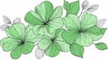 Elegant Drawing Flowers Green Leaf Vector Outline Royalty Free Stock Photo
