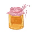 Elegant drawing of glass jar of delicious organic honey isolated on white background. Sweet healthy product, tasty