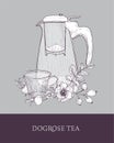 Elegant drawing of transparent pitcher with strainer, cup of tea and dog rose flowers, leaves and hips or berries on