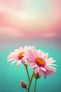 elegant dreamy pink flowers. minimalistic pastel artwork. elegant wallpaper design. pink teal gradient colors