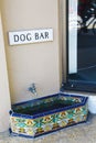 Elegant drinking trough for dogs in Palm Beach