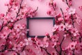 Elegant  an empty picture frame surrounded delicate cherry blossoms on a pink background, creating an elegant and springlike Royalty Free Stock Photo