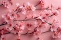 Elegant  an empty picture frame surrounded delicate cherry blossoms on a pink background, creating an elegant and springlike Royalty Free Stock Photo