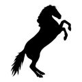 Elegant Equine Outlines, Black horse silhouette vector art Royalty Free Stock Photo