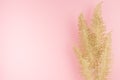 Elegant exquisite travel background - golden glittering sparkling fern branch on pastel pink background as decorative border.