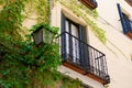 Elegant facade with vivid greenery and vintage balcony downtown Madrid, Spain