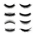 Elegant false eyelashes displayed in various styles and lengths for beauty applications Royalty Free Stock Photo