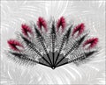 Elegant fan made of beautiful feathers.