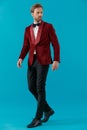 Elegant fashion man wearing red velvet tuxedo and walking Royalty Free Stock Photo