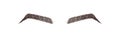 Elegant female eyebrows shape. Brow master logo. Permanent make-up and microblading. Linear vector Illustration in